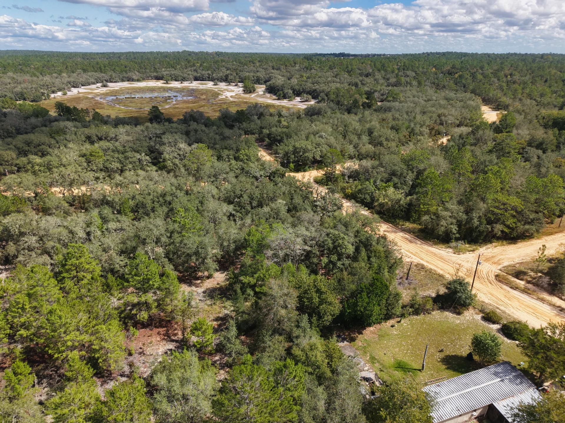 Decorative background for Your Florida Land for Less Than a Car Payment? 0.29 Acres for $249/Mo image 13