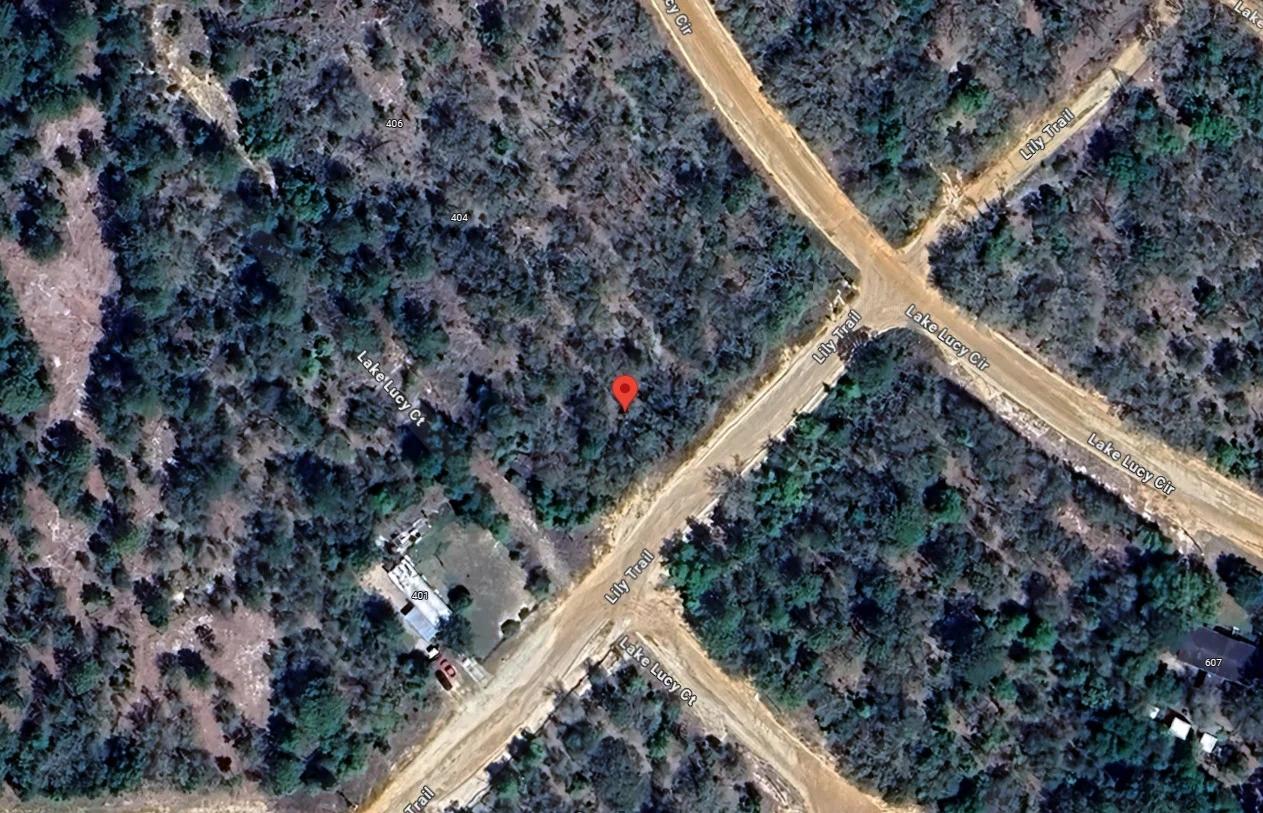 Decorative background for Your Florida Land for Less Than a Car Payment? 0.29 Acres for $249/Mo image 16
