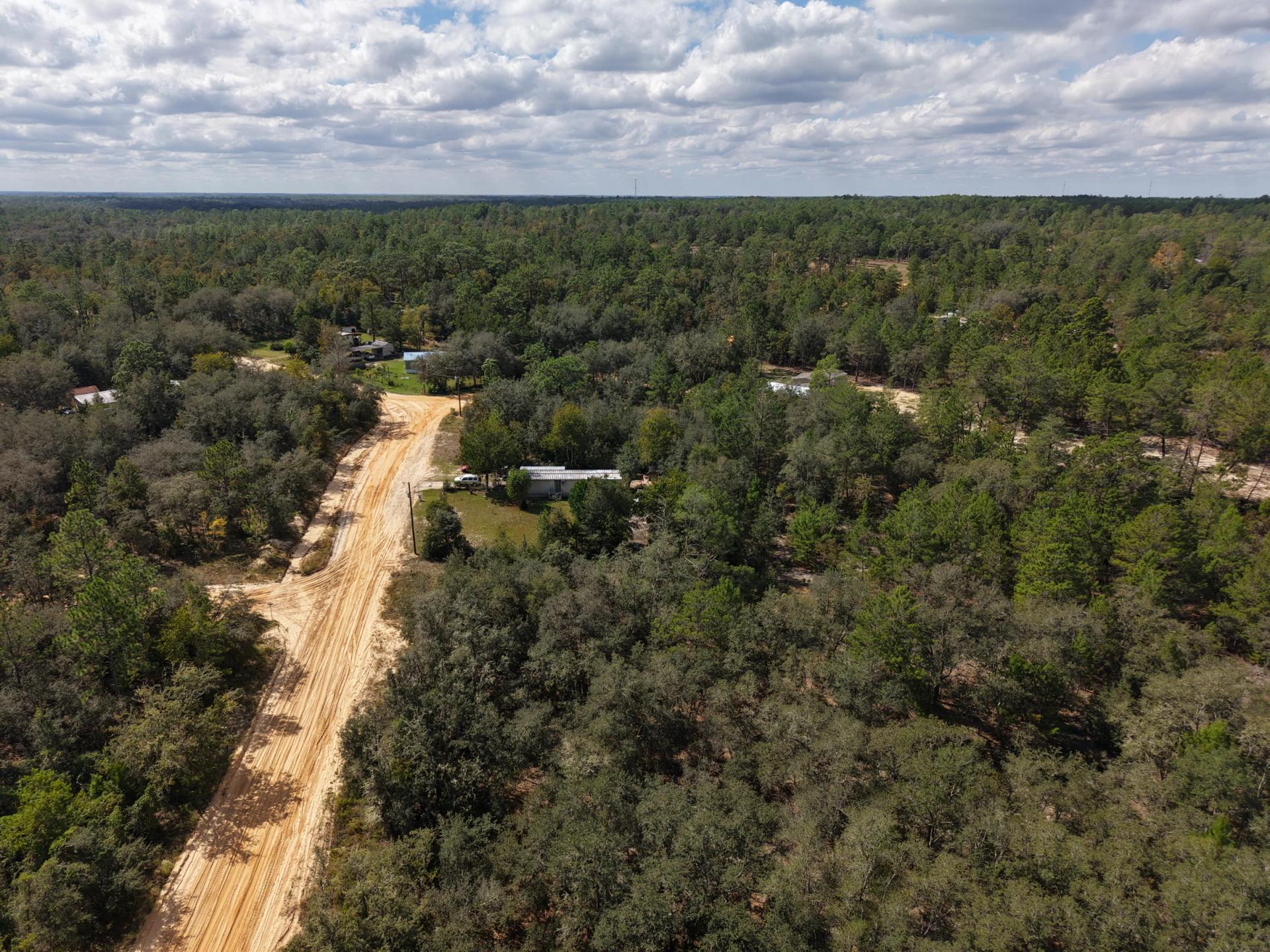 Decorative background for Your Florida Land for Less Than a Car Payment? 0.29 Acres for $249/Mo image 17