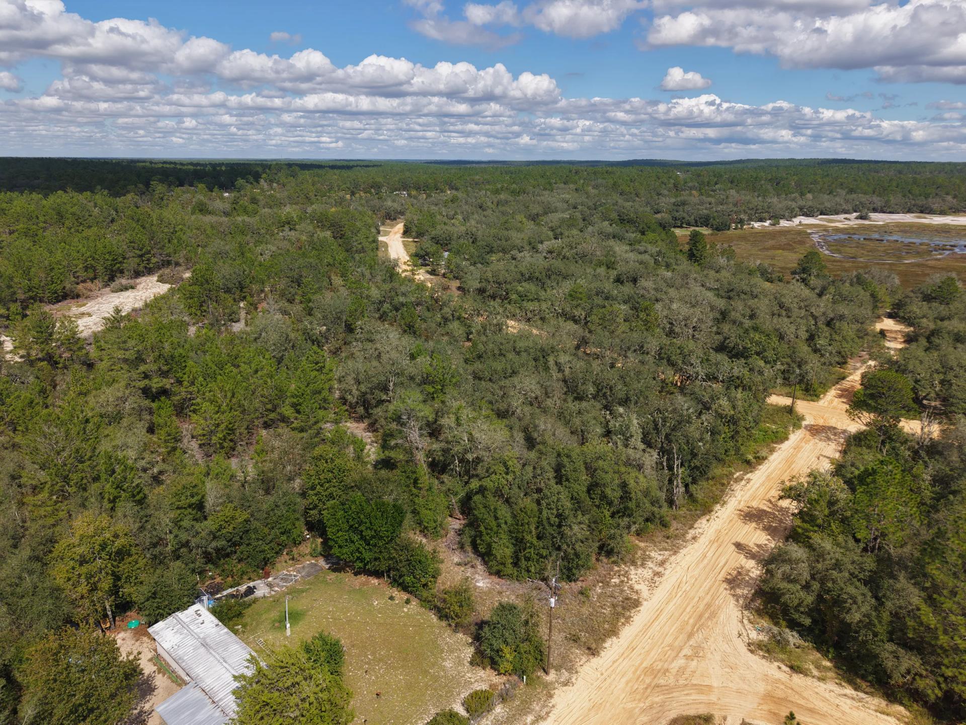Decorative background for Your Florida Land for Less Than a Car Payment? 0.29 Acres for $249/Mo image 23
