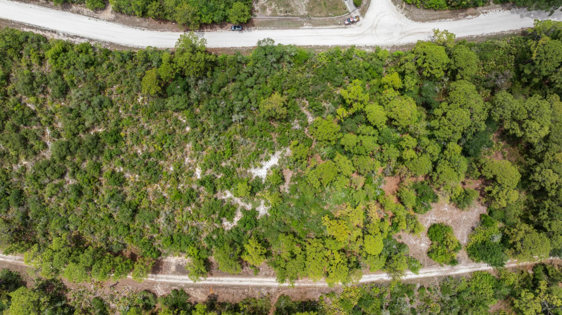 Decorative background for Your Version of Florida Freedom Starts with 0.22 Acres for Just $349/Mo! image 5