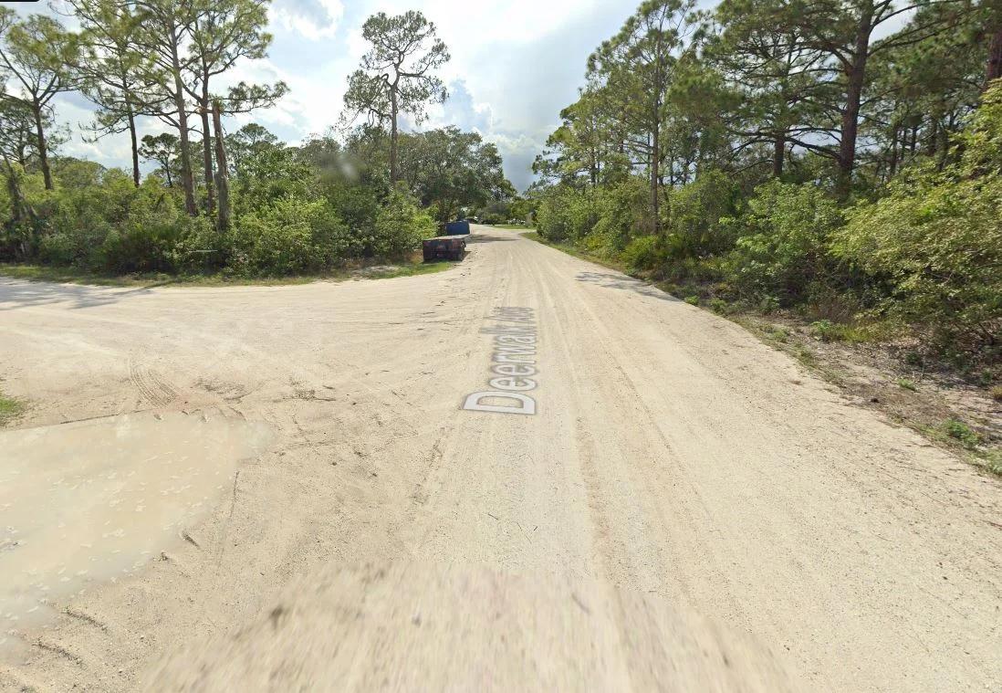 Decorative background for Your Version of Florida Freedom Starts with 0.22 Acres for Just $349/Mo! image 11