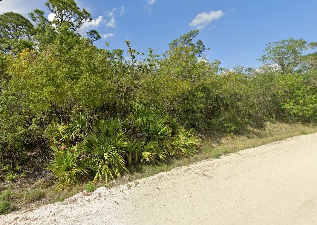 Decorative background for Your Version of Florida Freedom Starts with 0.22 Acres for Just $349/Mo! image 12