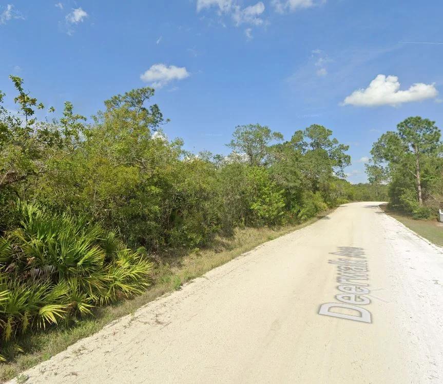 Decorative background for Your Version of Florida Freedom Starts with 0.22 Acres for Just $349/Mo! image 13