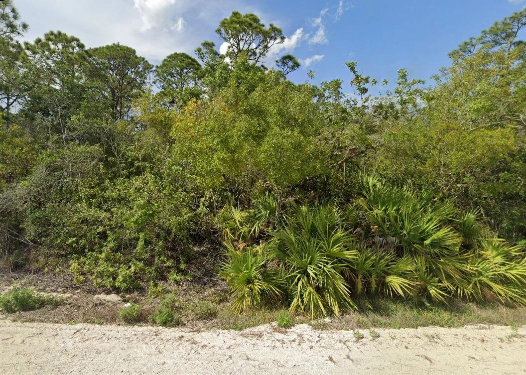 Decorative background for Your Version of Florida Freedom Starts with 0.22 Acres for Just $349/Mo! image 14