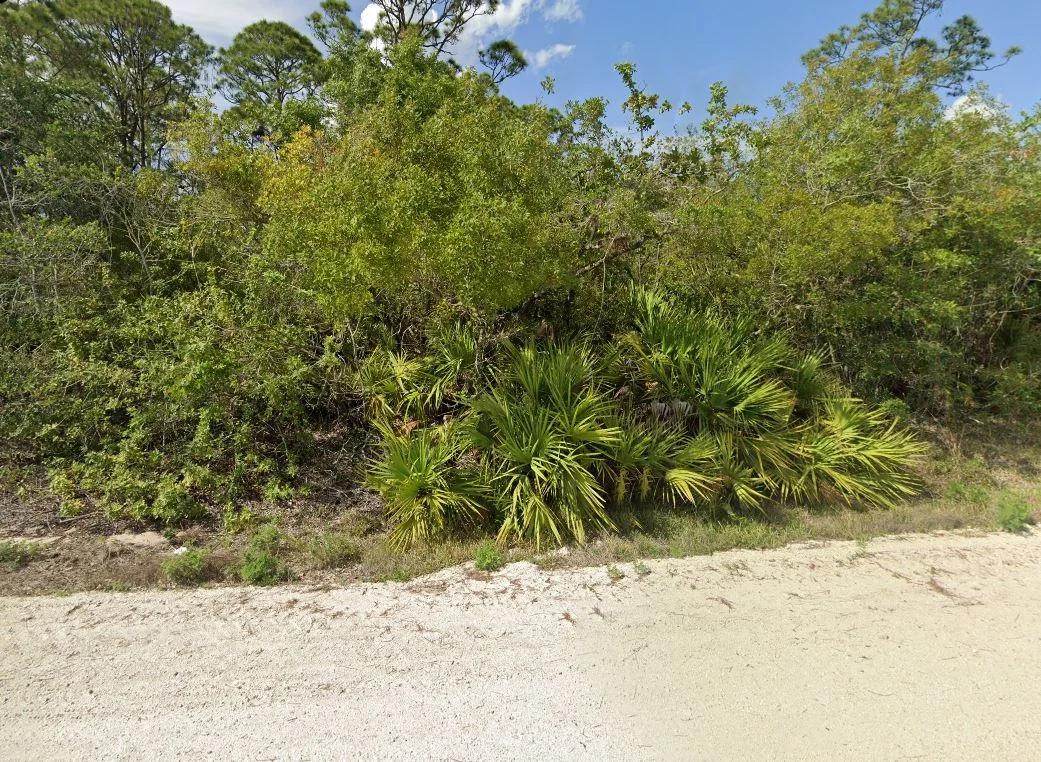 Decorative background for Your Version of Florida Freedom Starts with 0.22 Acres for Just $349/Mo! image 15