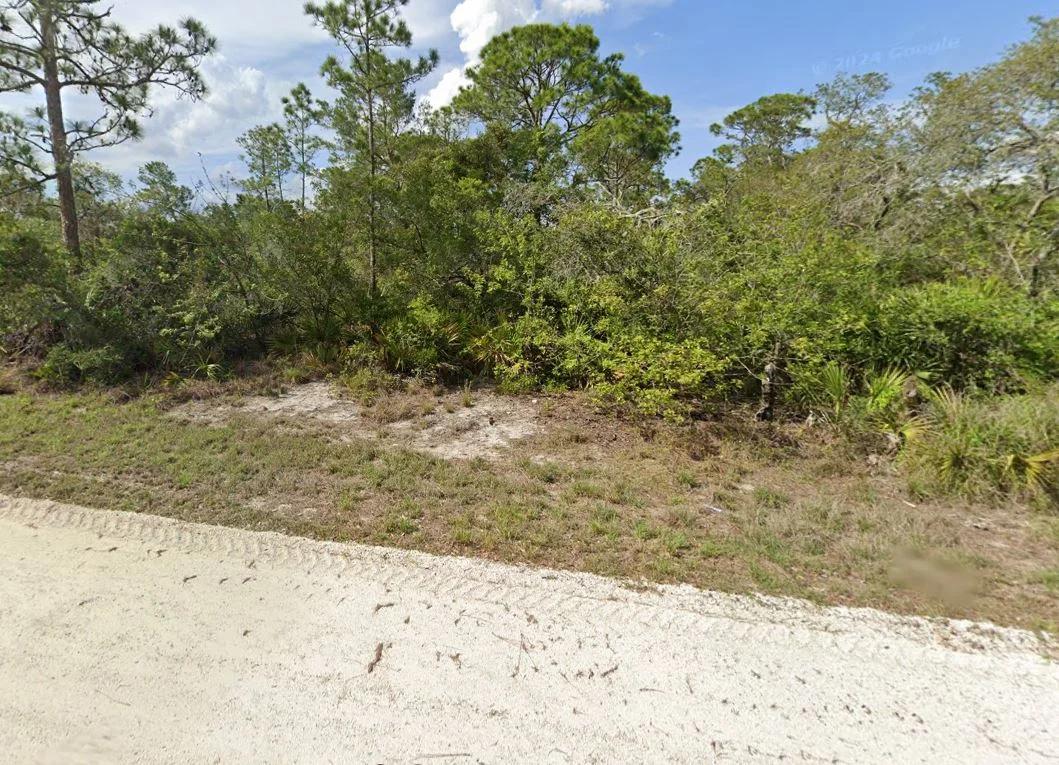 Decorative background for 0.23 Acre Florida Lot for $349/mo a Simple Entry Point Into Ownership! image 7