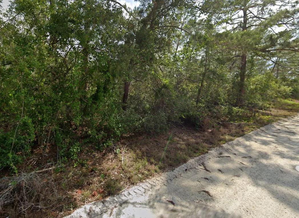 Decorative background for 0.23 Acre Florida Lot for $349/mo a Simple Entry Point Into Ownership! image 8
