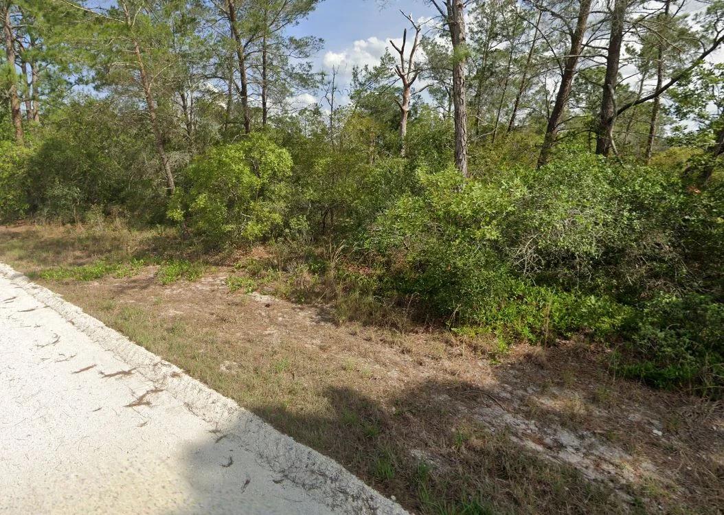 Decorative background for 0.23 Acre Florida Lot for $349/mo a Simple Entry Point Into Ownership! image 9