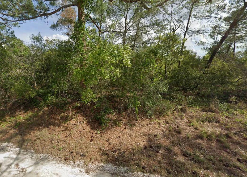 Decorative background for 0.23 Acre Florida Lot for $349/mo a Simple Entry Point Into Ownership! image 10