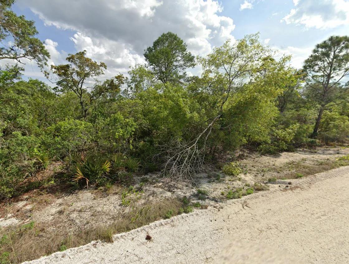 Decorative background for 0.23 Acre Florida Lot for $349/mo a Simple Entry Point Into Ownership! image 11