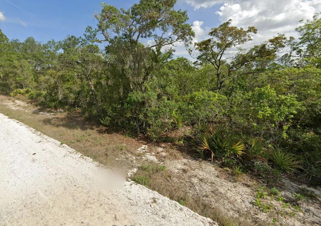 Decorative background for 0.23 Acre Florida Lot for $349/mo a Simple Entry Point Into Ownership! image 12