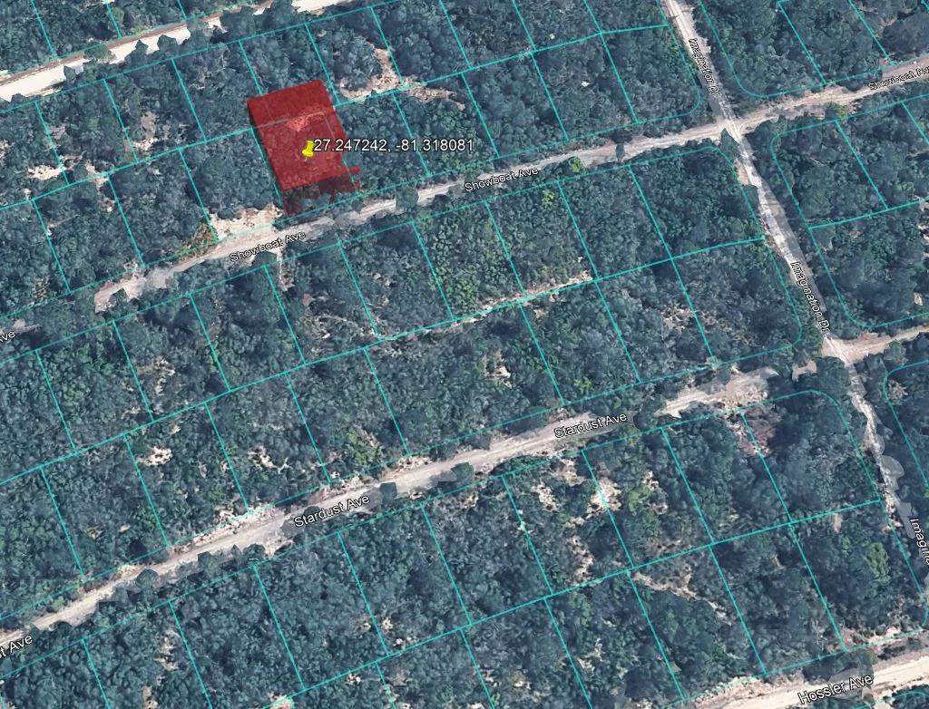 Decorative background for 0.23 Acre Florida Lot for $349/mo a Simple Entry Point Into Ownership! image 16