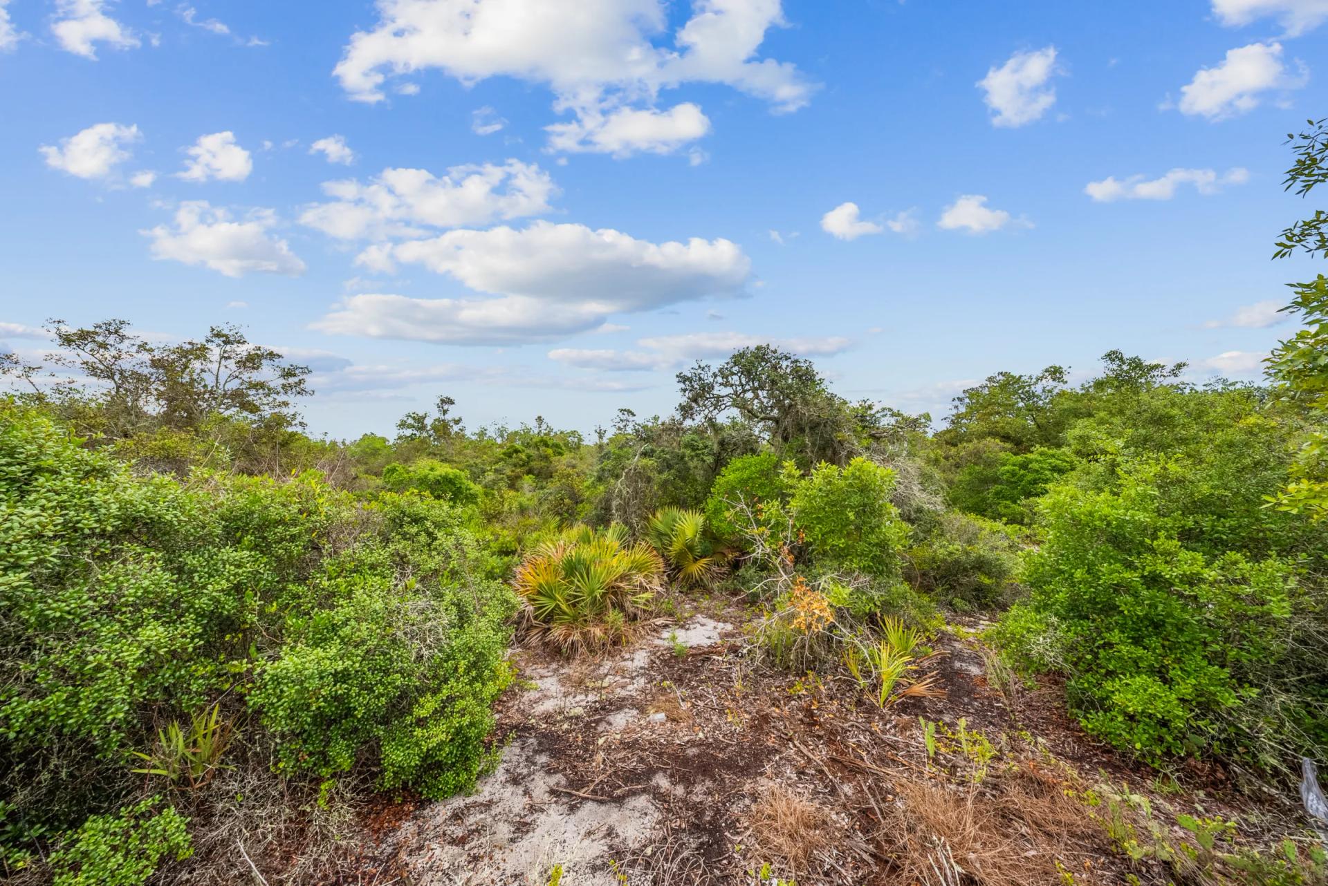 Secure Your Family’s Future on 0.23 Acres in Lake Placid, FL – $349/Mo - Main image