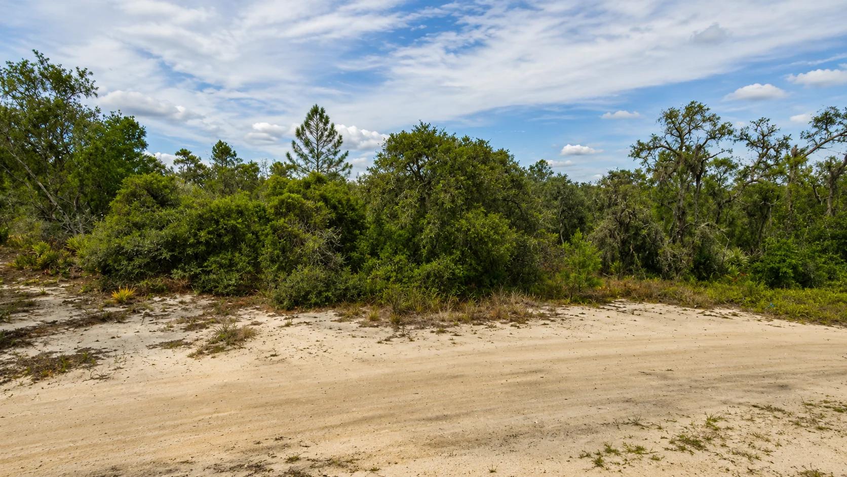 Decorative background for Secure Your Family’s Future on 0.23 Acres in Lake Placid, FL – $349/Mo image 5