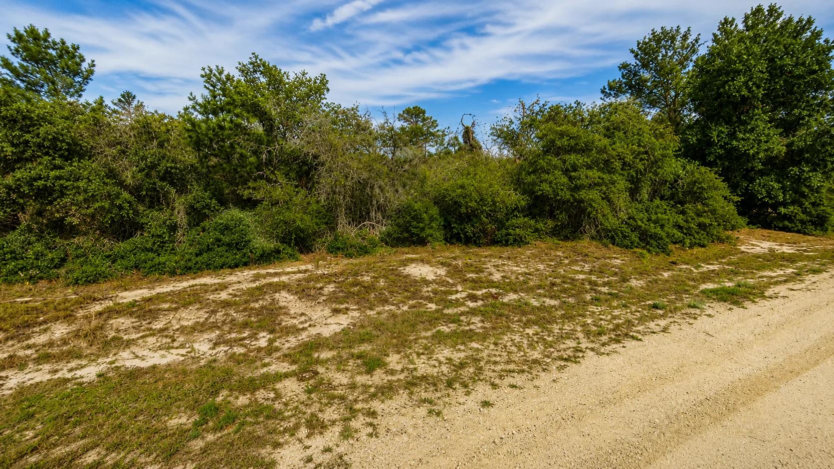 0.23 Acres of Buildable Florida Land for $349/Mo, No Income Verification! - Image 3