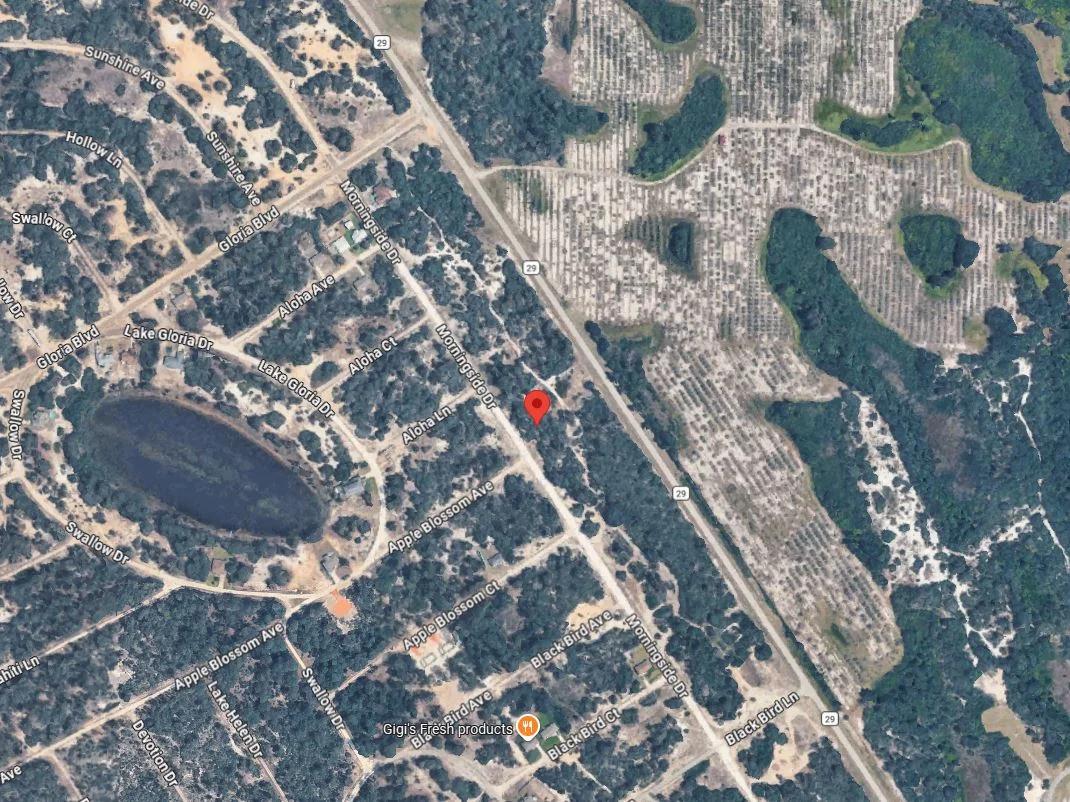 Decorative background for 0.23 Acres of Buildable Florida Land for $349/Mo, No Income Verification! image 5