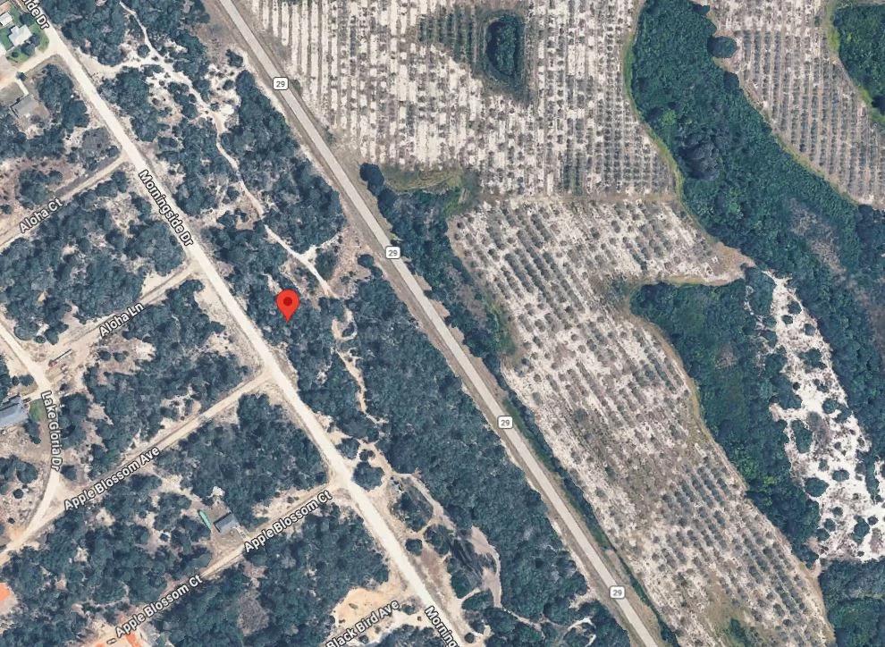 Decorative background for 0.23 Acres of Buildable Florida Land for $349/Mo, No Income Verification! image 6