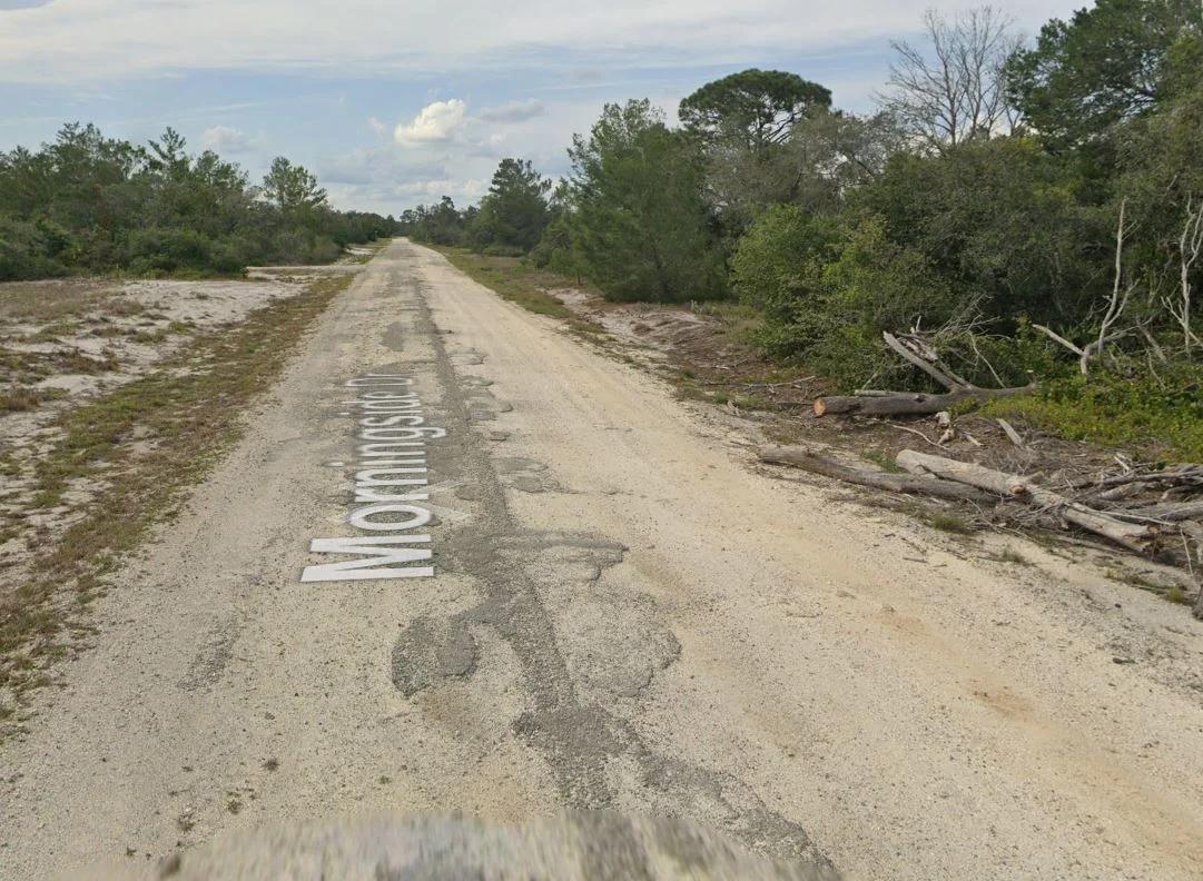 Decorative background for 0.23 Acres of Buildable Florida Land for $349/Mo, No Income Verification! image 8