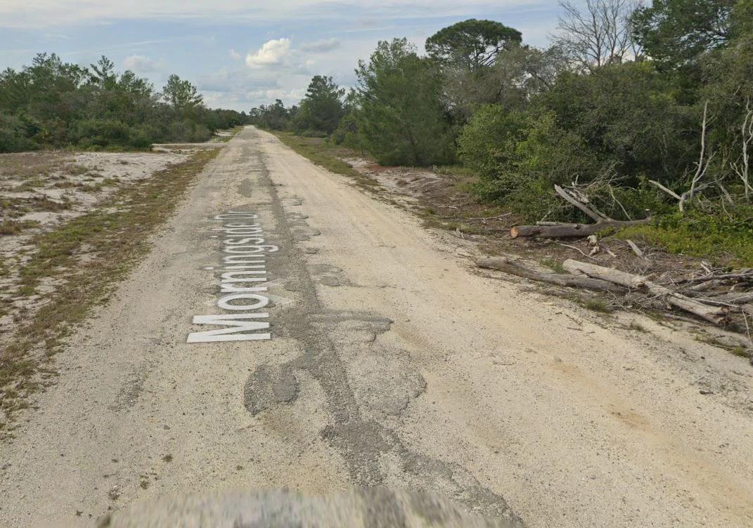 Decorative background for 0.23 Acres of Buildable Florida Land for $349/Mo, No Income Verification! image 9