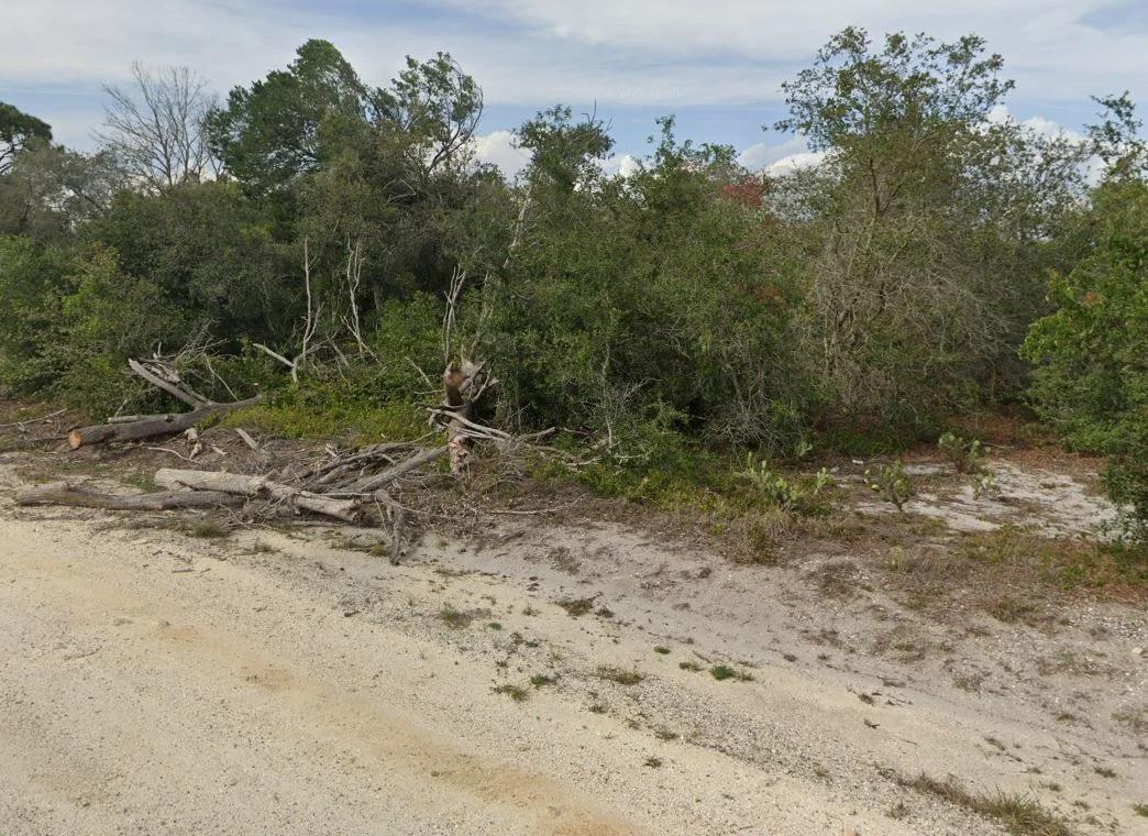 Decorative background for 0.23 Acres of Buildable Florida Land for $349/Mo, No Income Verification! image 10