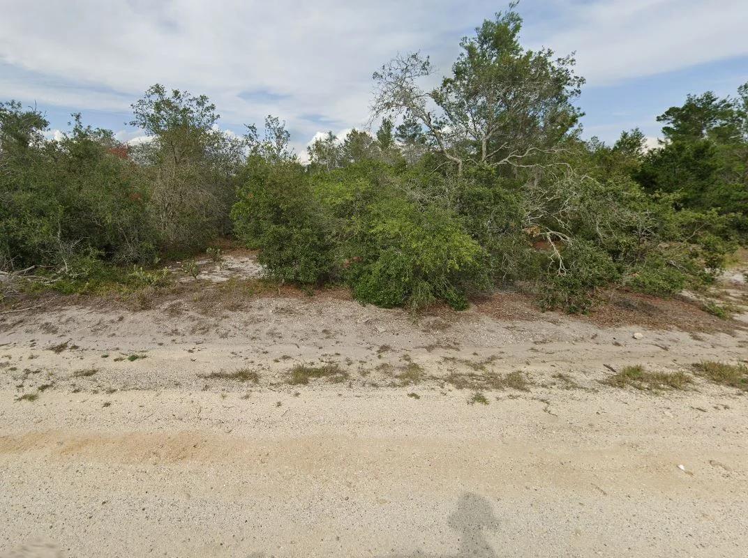 Decorative background for 0.23 Acres of Buildable Florida Land for $349/Mo, No Income Verification! image 11