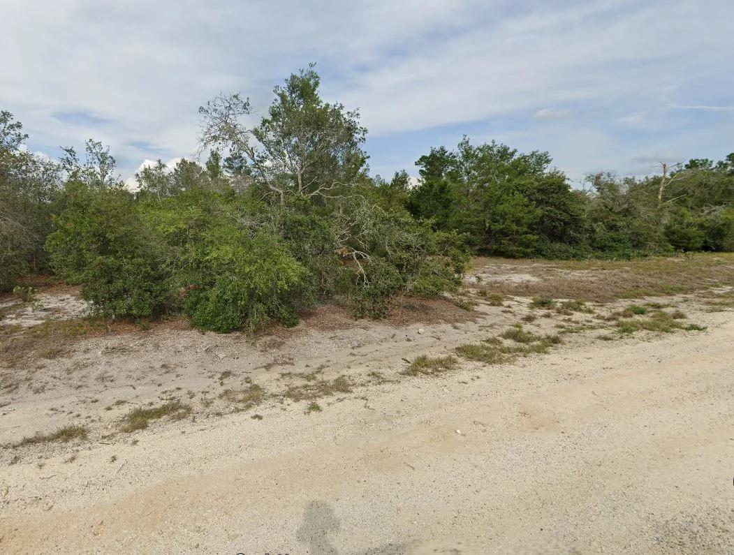 Decorative background for 0.23 Acres of Buildable Florida Land for $349/Mo, No Income Verification! image 12