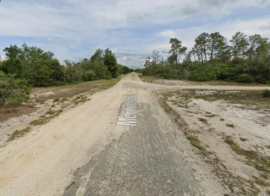 Decorative background for 0.23 Acres of Buildable Florida Land for $349/Mo, No Income Verification! image 13