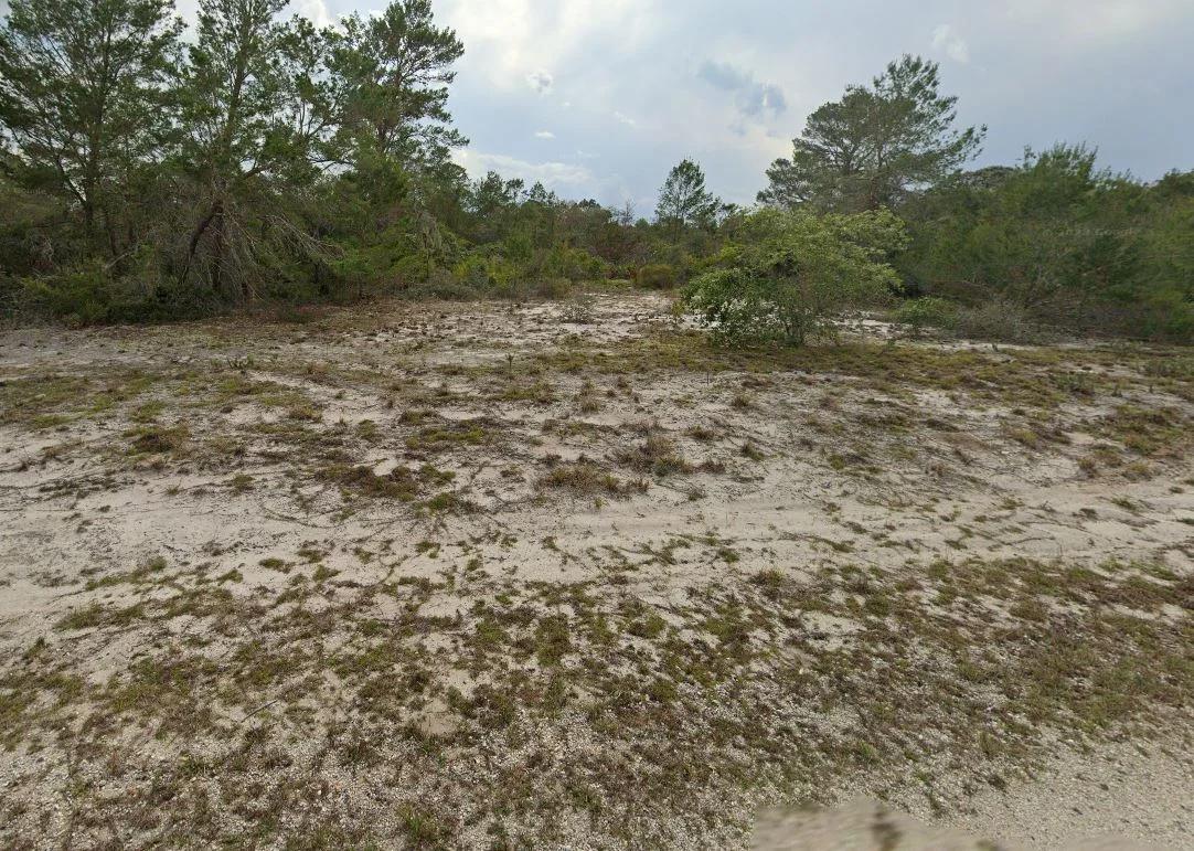 Decorative background for 0.23 Acres of Buildable Florida Land for $349/Mo, No Income Verification! image 14
