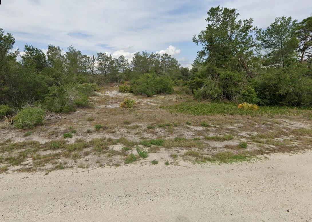 Decorative background for 0.23 Acres of Buildable Florida Land for $349/Mo, No Income Verification! image 15