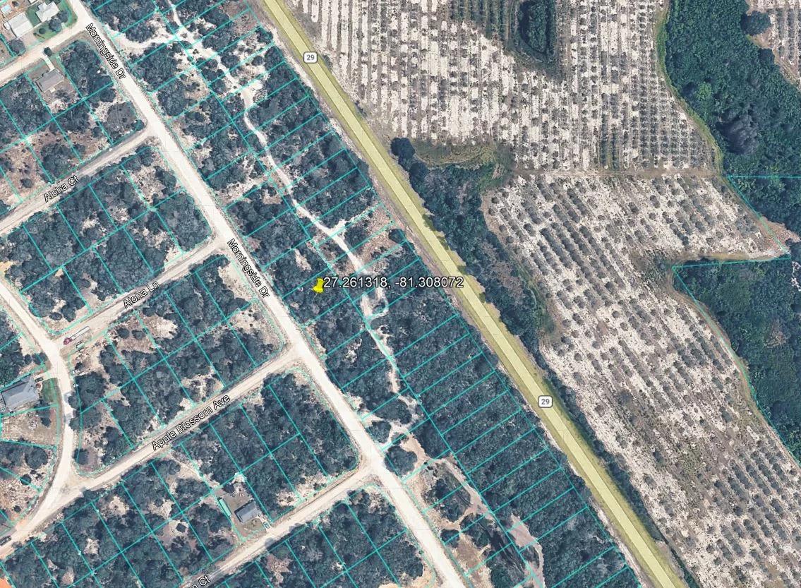 Decorative background for 0.23 Acres of Buildable Florida Land for $349/Mo, No Income Verification! image 16