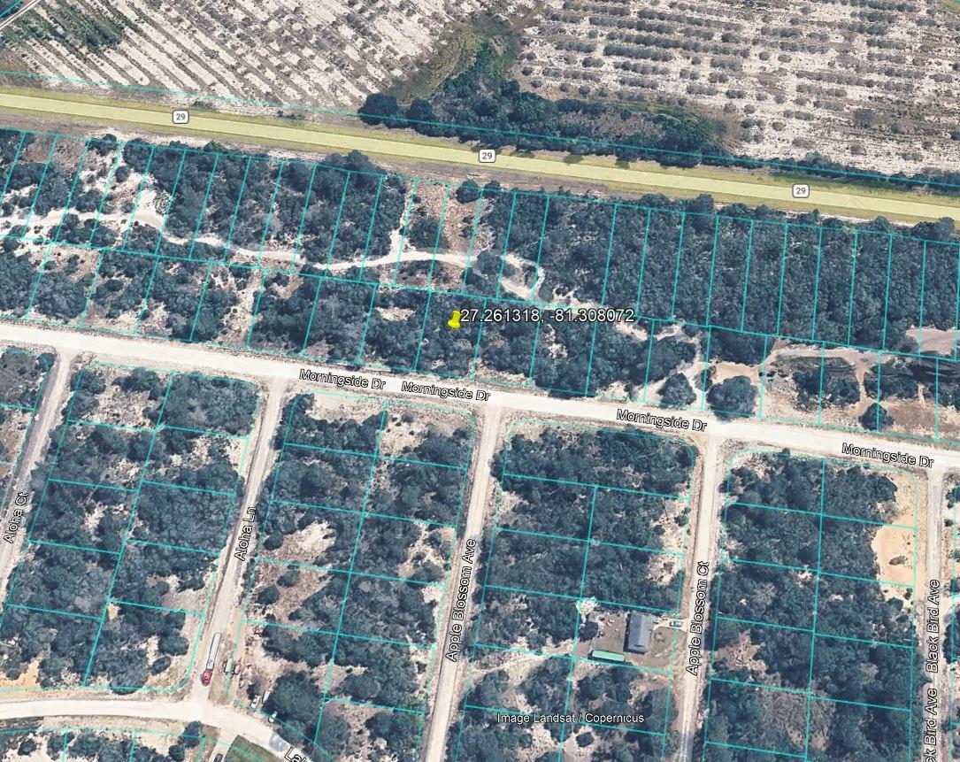 Decorative background for 0.23 Acres of Buildable Florida Land for $349/Mo, No Income Verification! image 17