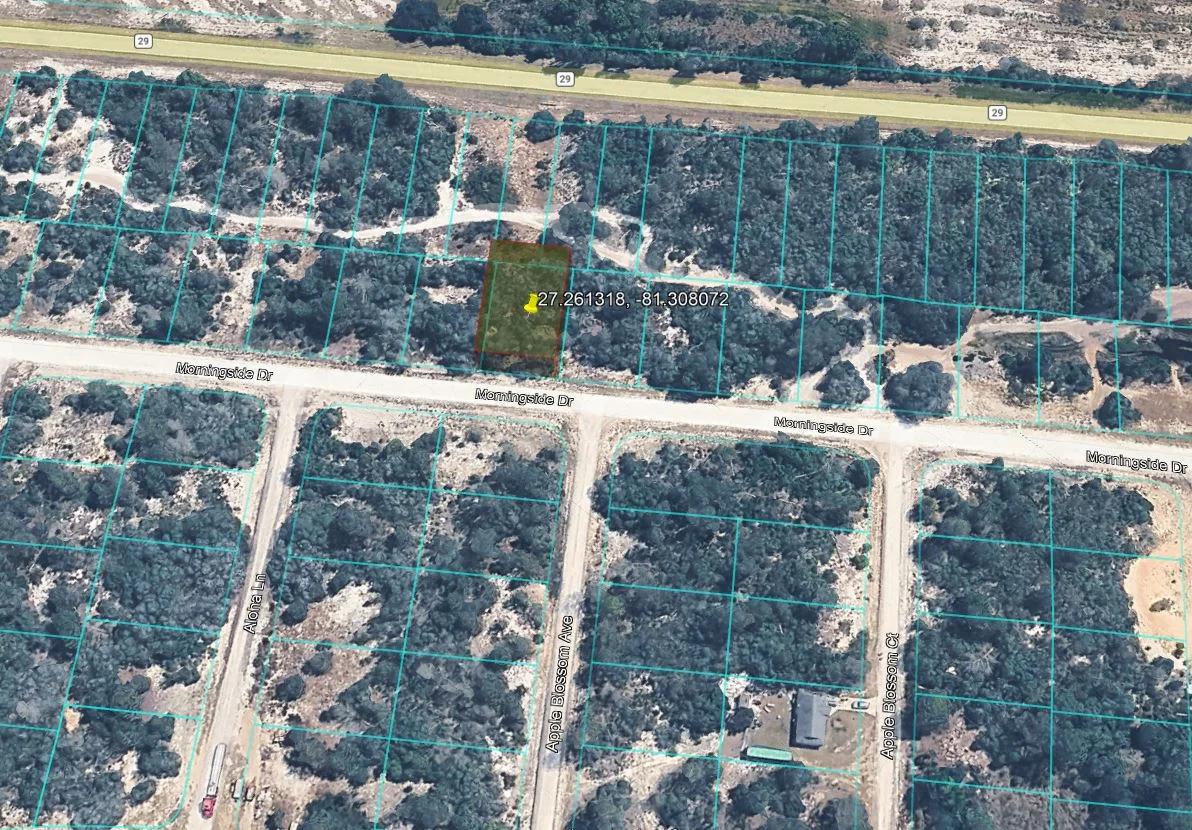 Decorative background for 0.23 Acres of Buildable Florida Land for $349/Mo, No Income Verification! image 18