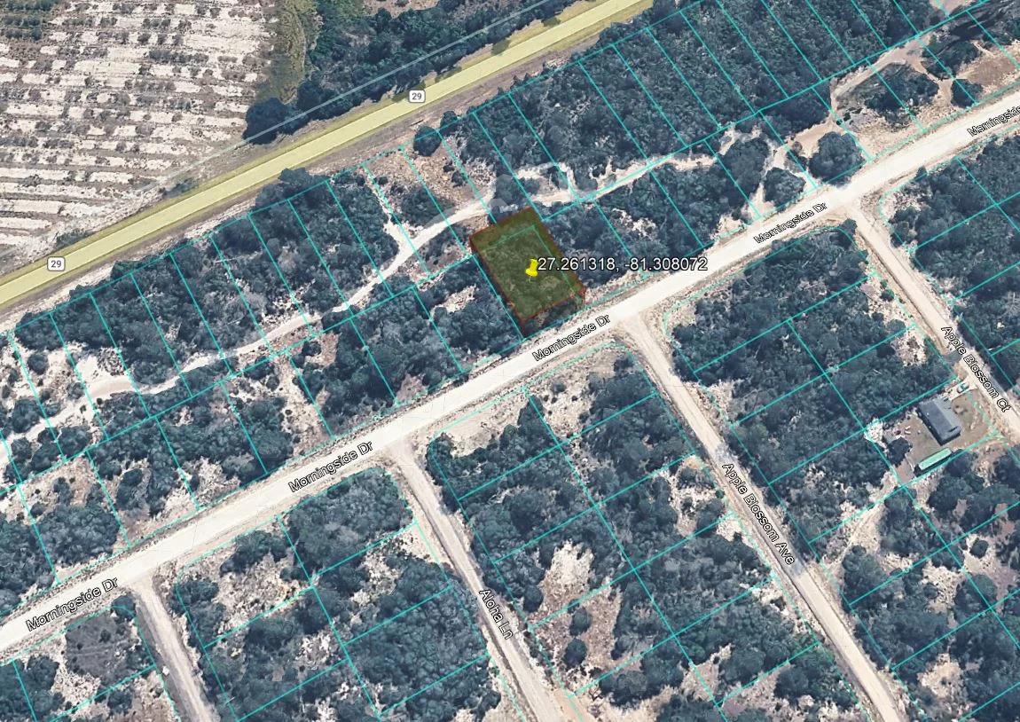 Decorative background for 0.23 Acres of Buildable Florida Land for $349/Mo, No Income Verification! image 19