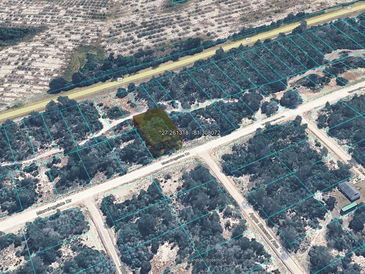 Decorative background for 0.23 Acres of Buildable Florida Land for $349/Mo, No Income Verification! image 20