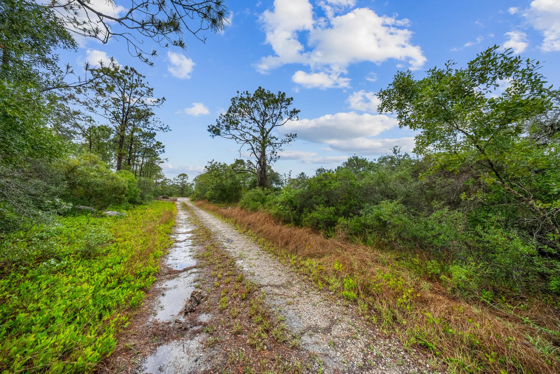 Decorative background for Invest in Long-Term Family Ownership with This 0.23 Acre Florida Lot for $349/Mo! image 10