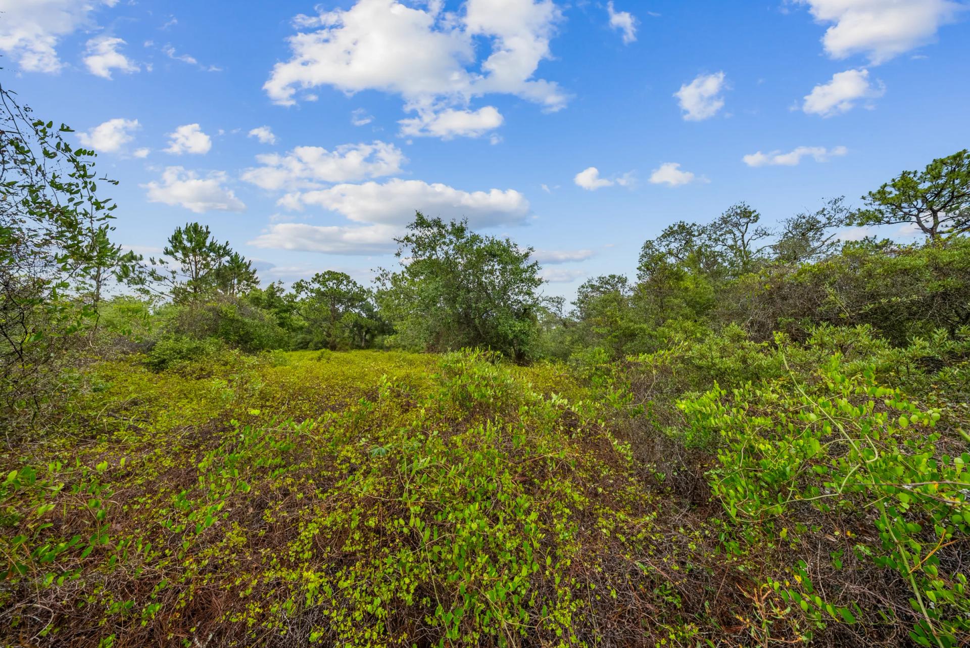 Decorative background for Invest in Long-Term Family Ownership with This 0.23 Acre Florida Lot for $349/Mo! image 11