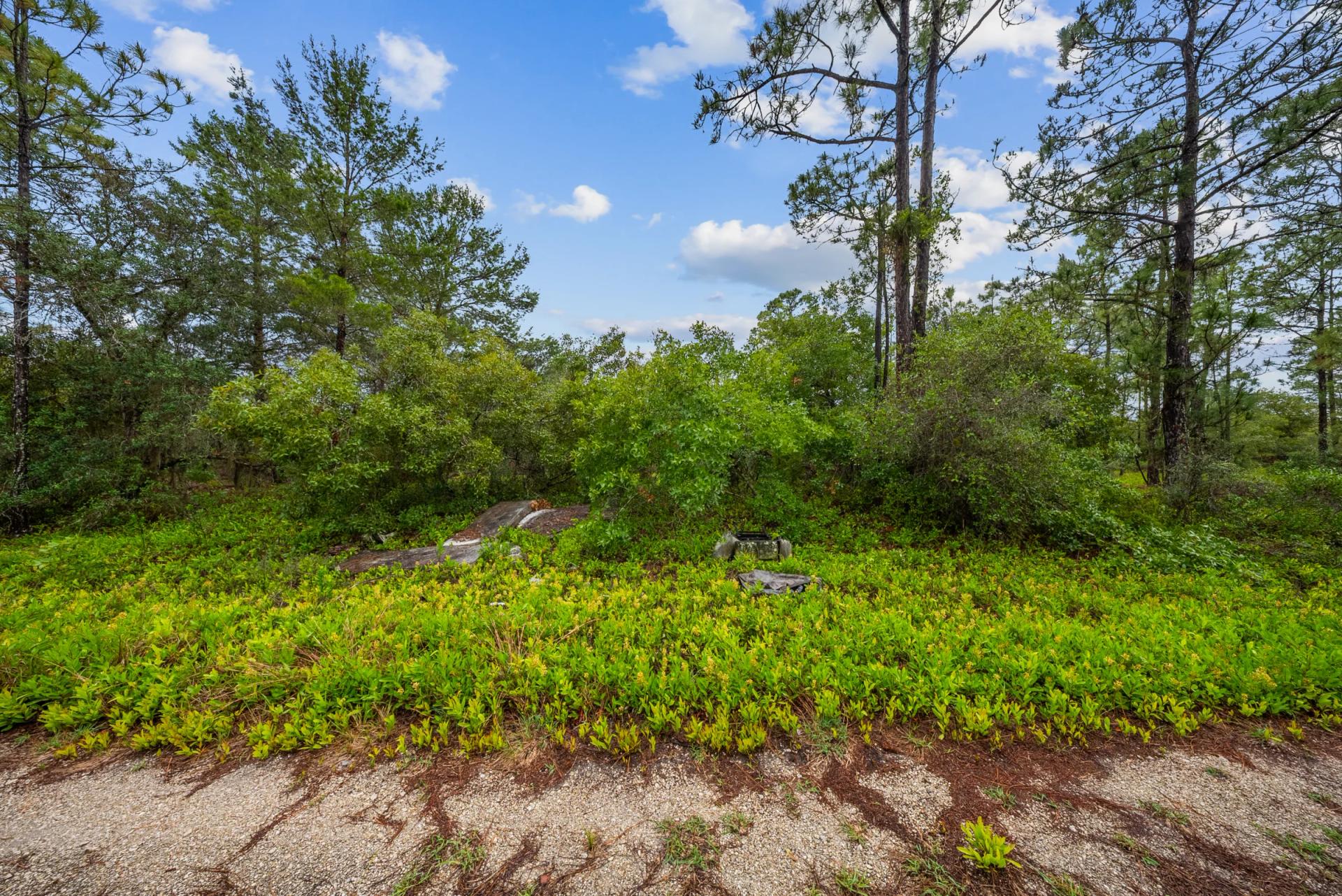 Decorative background for Invest in Long-Term Family Ownership with This 0.23 Acre Florida Lot for $349/Mo! image 14
