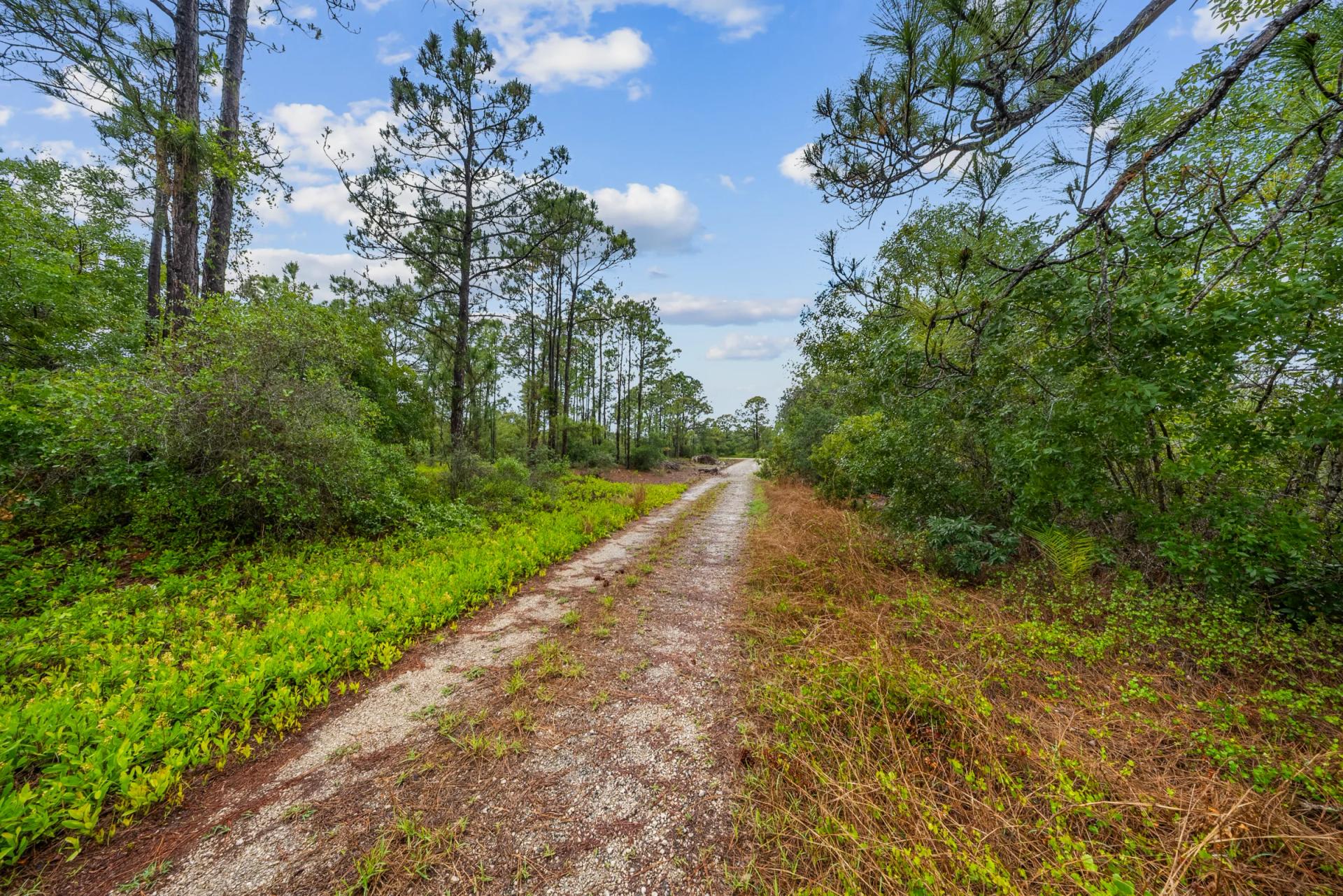 Decorative background for Invest in Long-Term Family Ownership with This 0.23 Acre Florida Lot for $349/Mo! image 15