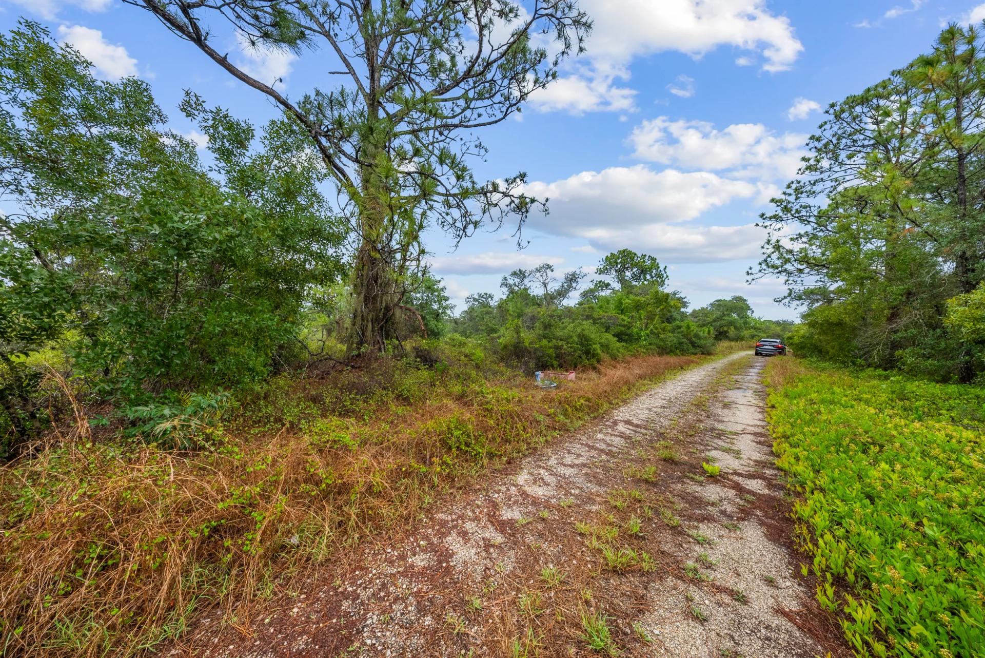 Decorative background for Invest in Long-Term Family Ownership with This 0.23 Acre Florida Lot for $349/Mo! image 16