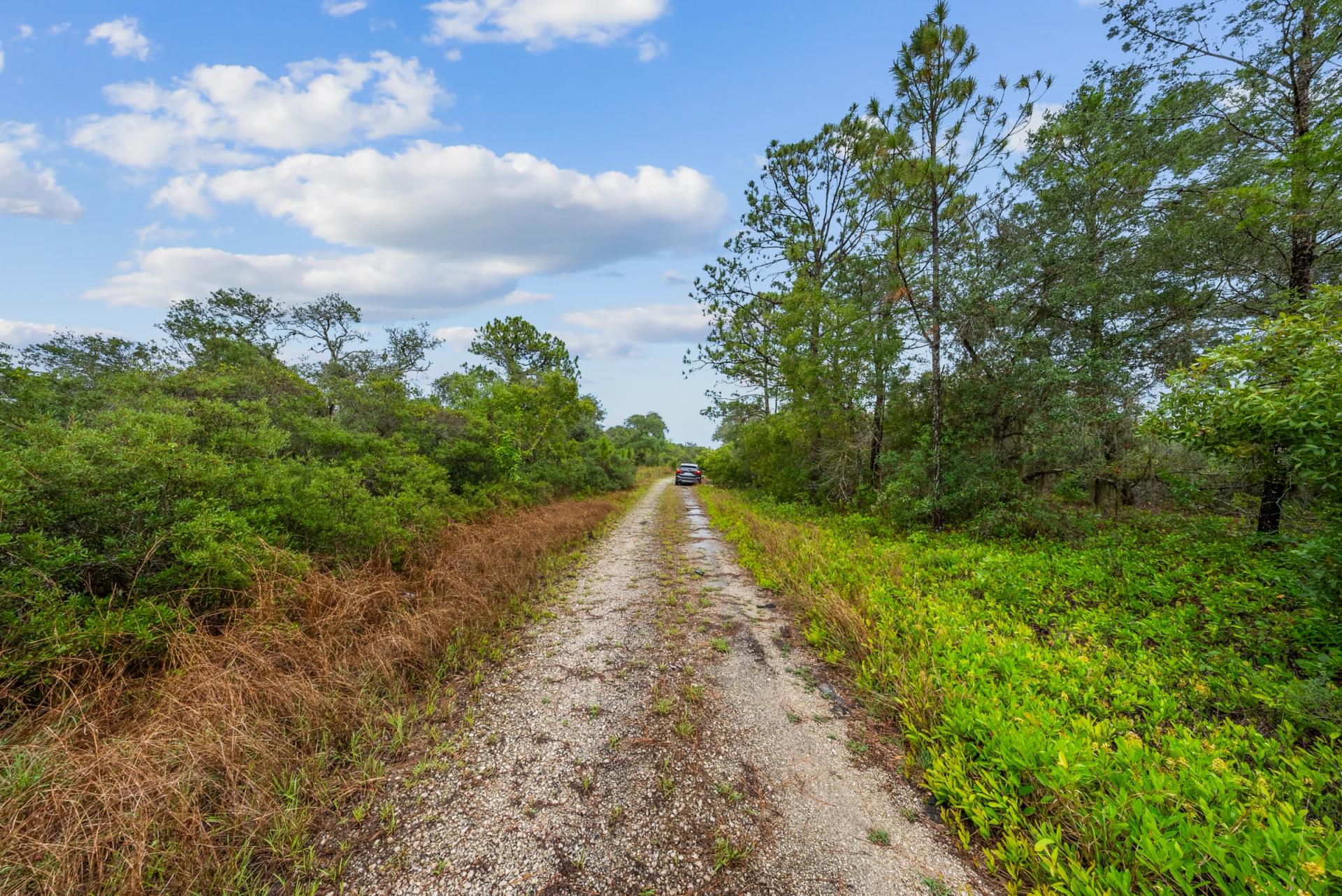 Decorative background for Invest in Long-Term Family Ownership with This 0.23 Acre Florida Lot for $349/Mo! image 17