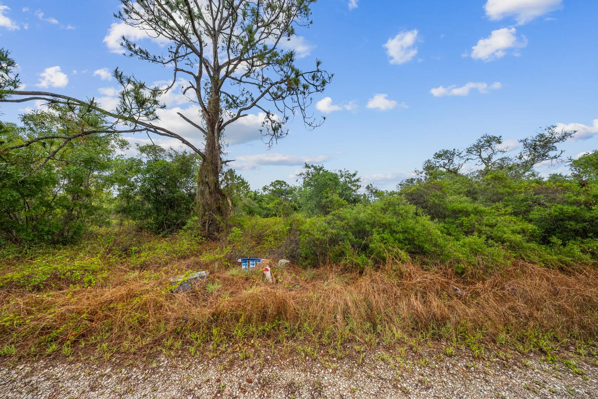 Decorative background for Invest in Long-Term Family Ownership with This 0.23 Acre Florida Lot for $349/Mo! image 18