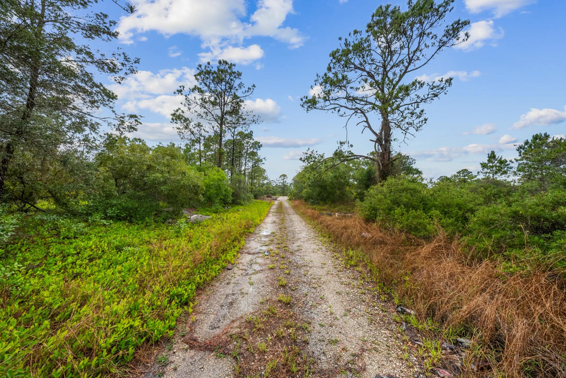 Decorative background for Invest in Long-Term Family Ownership with This 0.23 Acre Florida Lot for $349/Mo! image 19