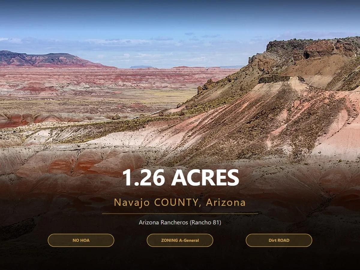 1.25 Acres of Arizona Land – Peaceful Desert Property in Navajo County - Main image