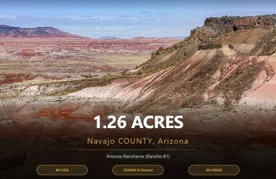 1.25 Acres of Arizona Land – Peaceful Desert Property in Navajo County