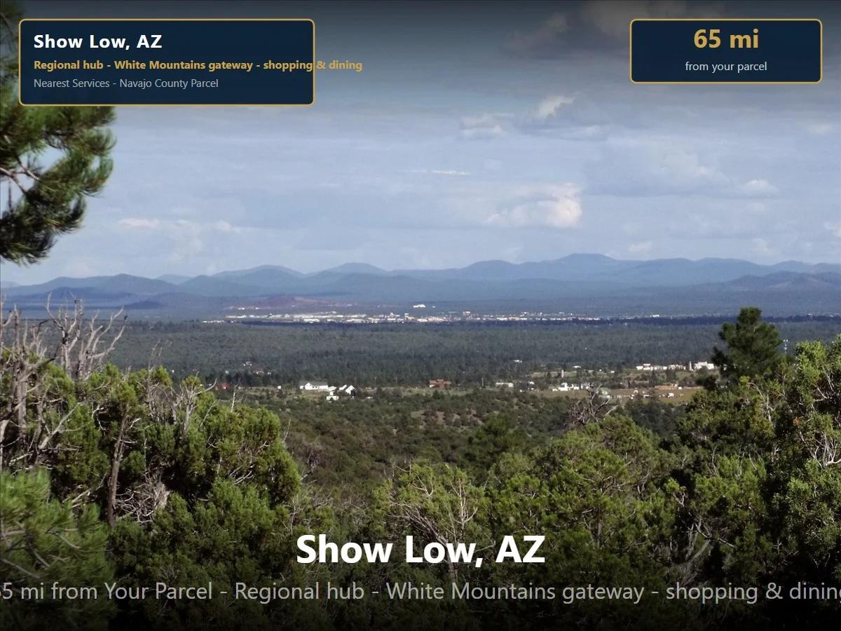 Decorative background for 1.25 Acres of Arizona Land – Peaceful Desert Property in Navajo County image 15