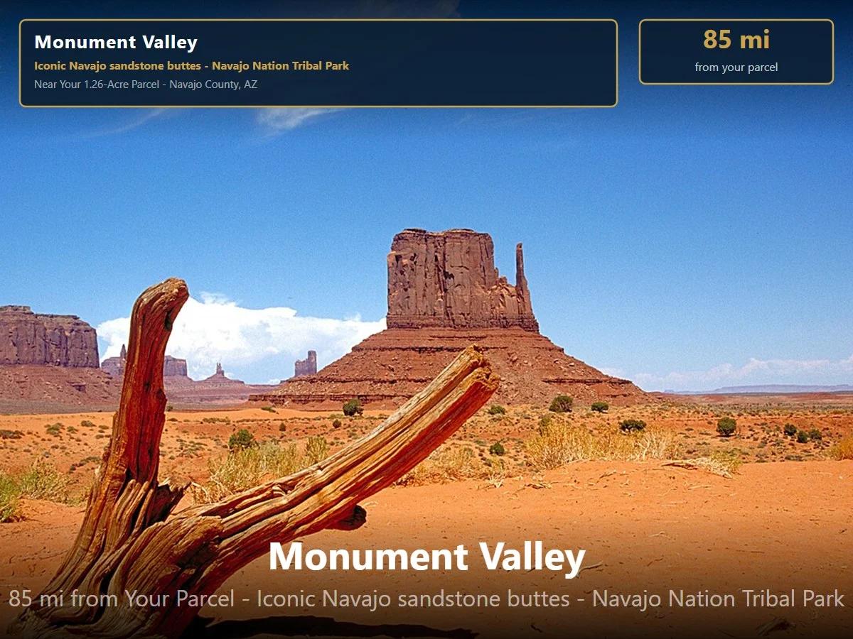 Decorative background for 1.25 Acres of Arizona Land – Peaceful Desert Property in Navajo County image 19